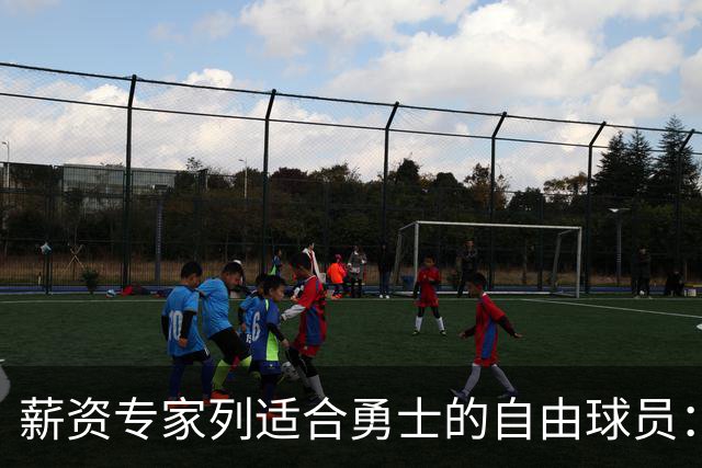 薪资专家列适合勇士的自由球员：詹姆斯 伊森 肯纳德 罗威领衔